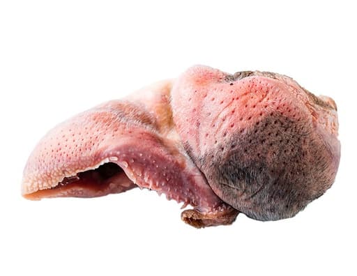 Губы